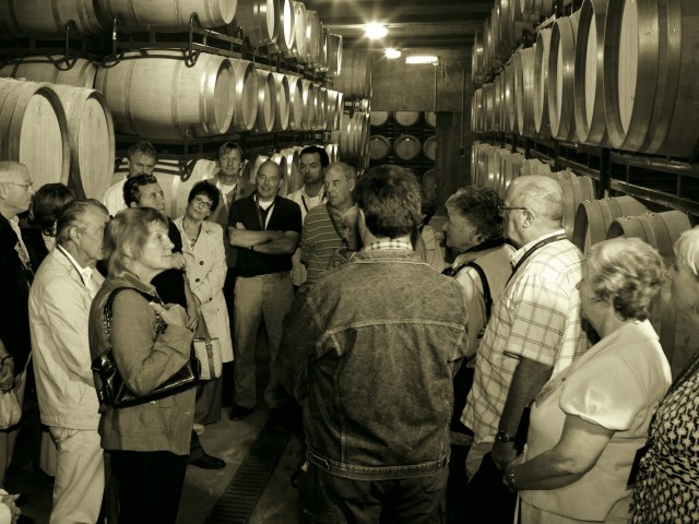Mendoza Winery - Enotourism in Alicante